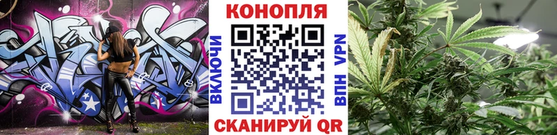 Каннабис планчик  Купить где  Ликино-Дулёво 